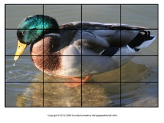 Puzzle-Stockente-6.pdf